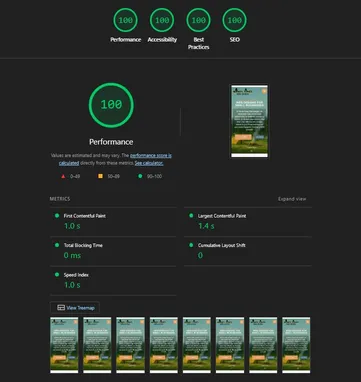 Google web performance report displaying perfect scores